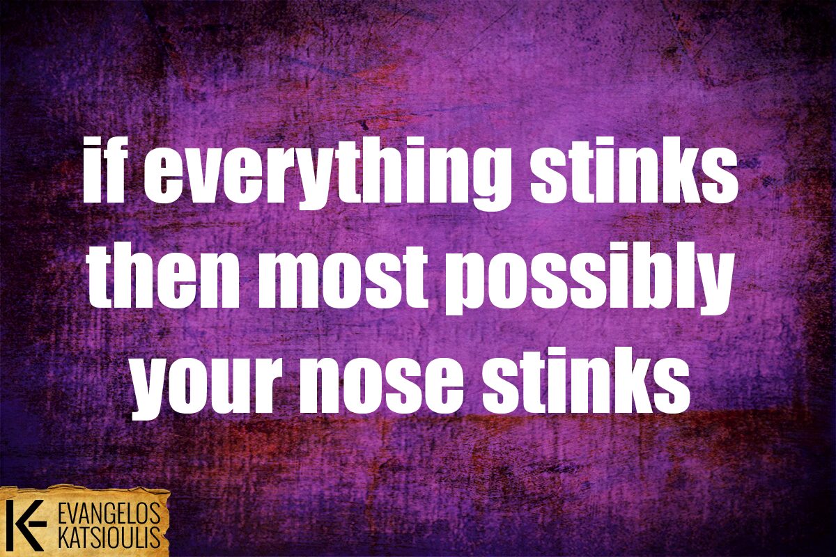 Today Stinks Everything stinks - Evan Cat