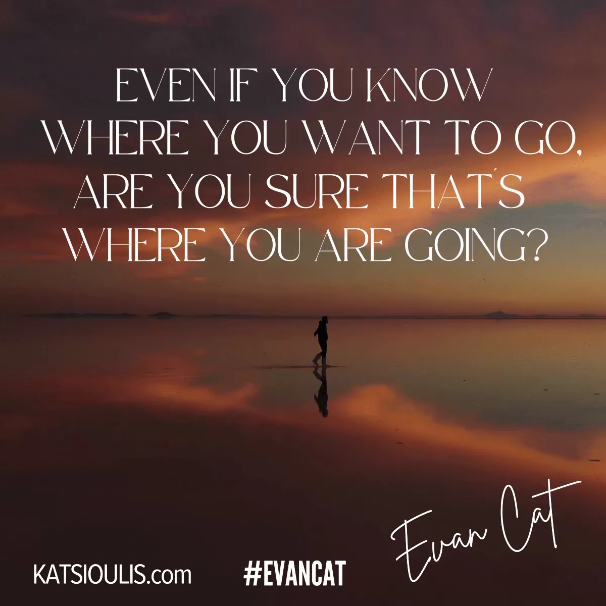 Evan_Cat_Life_Coach_Where_You_Are_Going_2