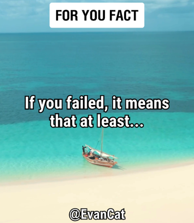 If you failed, it means that at least... By Evan Cat, Your Best Life Coach
