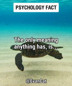 The only meaning anything has, is... - Evan Cat